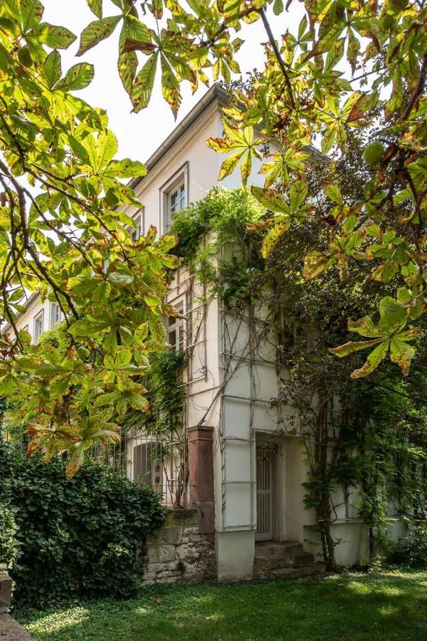 Ferienwohnung Am Dom Naumburg  Esterno foto