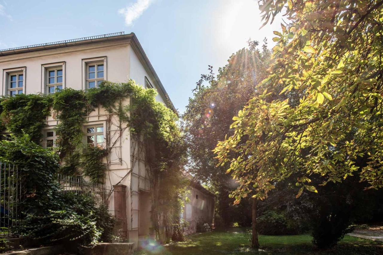 Ferienwohnung Am Dom Naumburg  Esterno foto