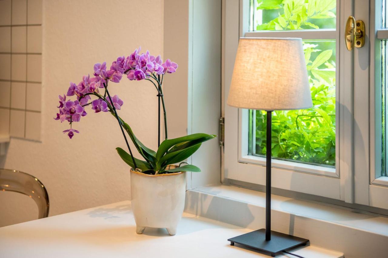 Ferienwohnung Am Dom Naumburg  Esterno foto
